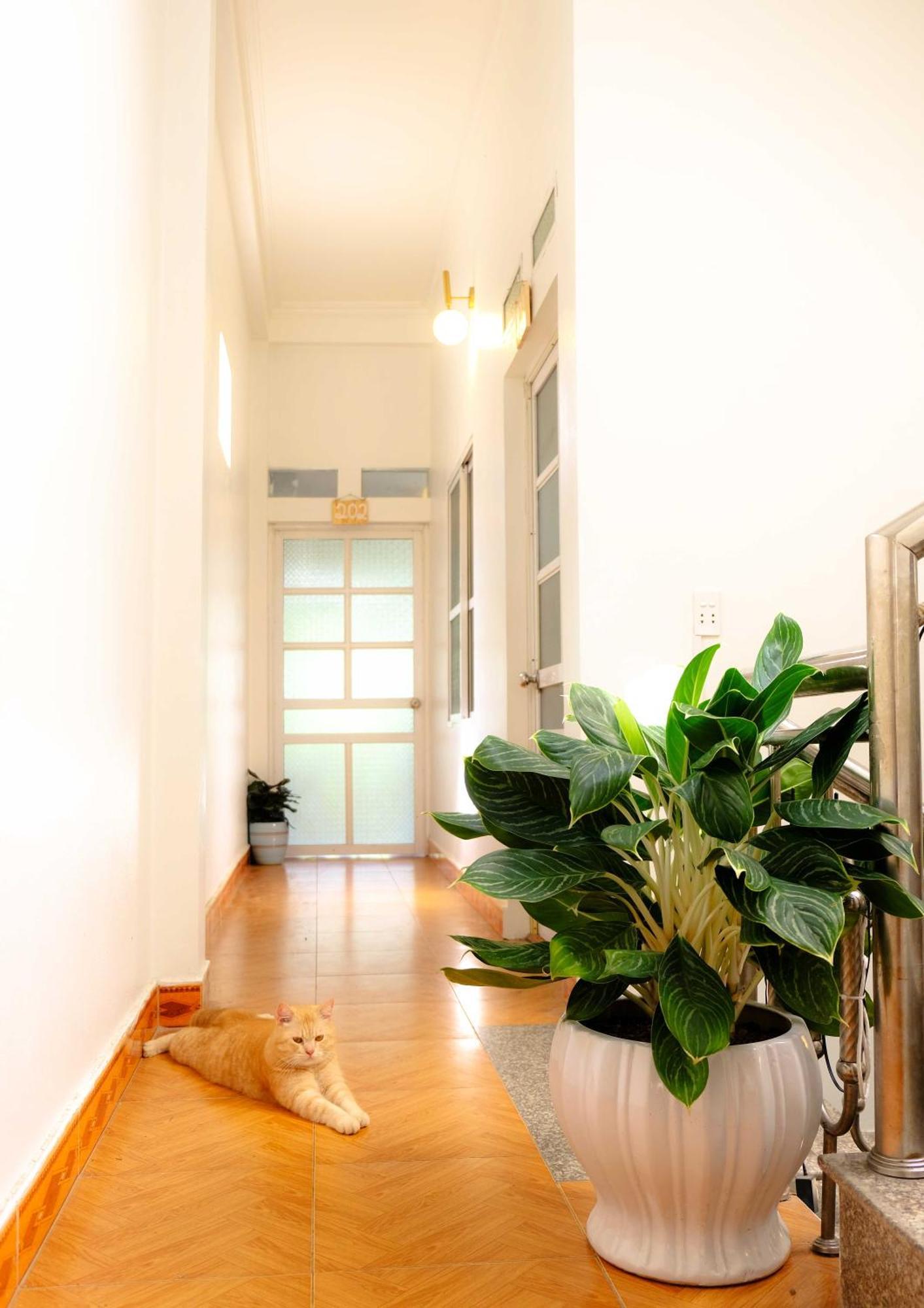 Lazy Cat Homestay - Motorbikes Rental & Tours 하 기앙 외부 사진