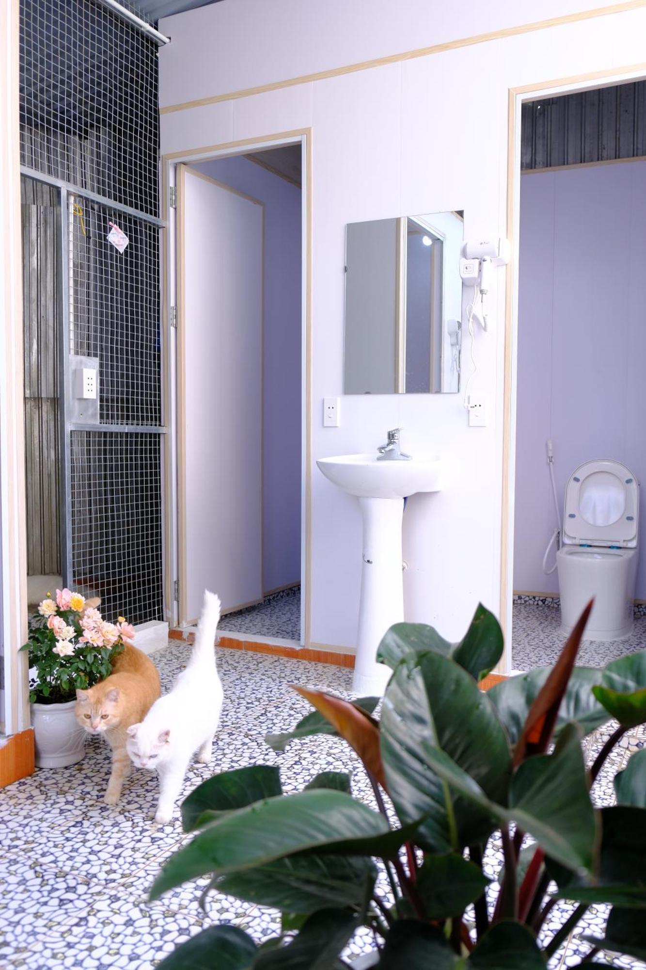 Lazy Cat Homestay - Motorbikes Rental & Tours 하 기앙 외부 사진